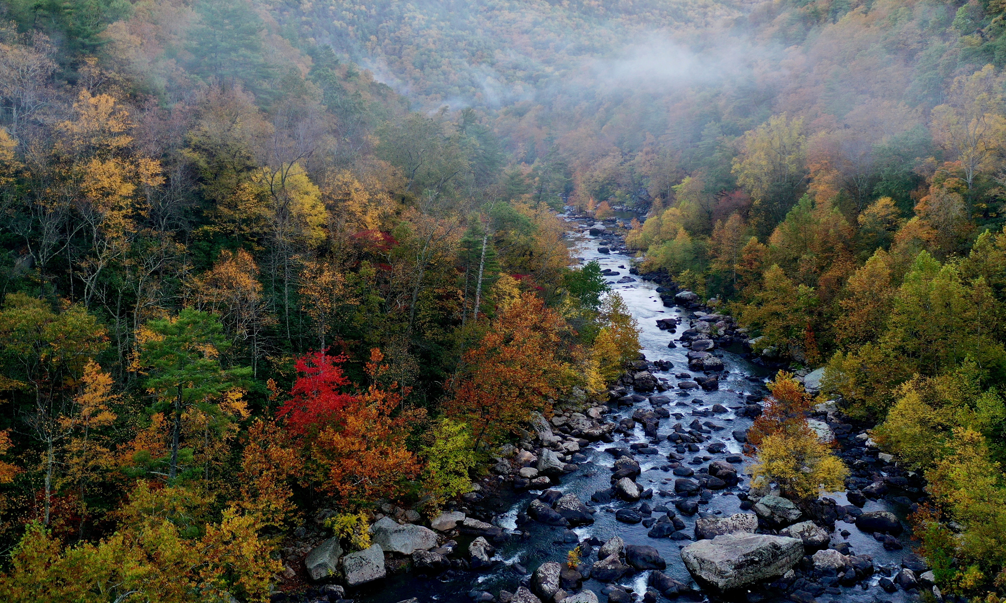 The Law Office of Larry W. George - Black Water Falls WV